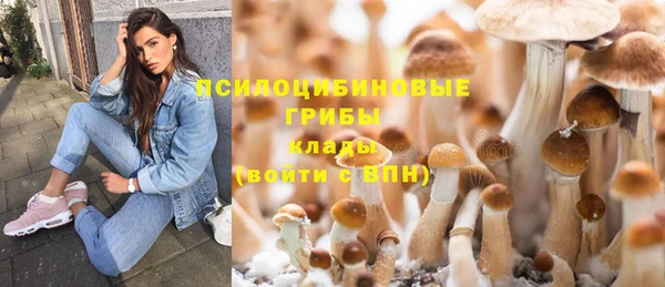 дмт Баксан