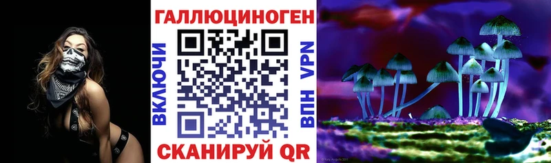Галлюциногенные грибы GOLDEN TEACHER  Усть-Джегута 